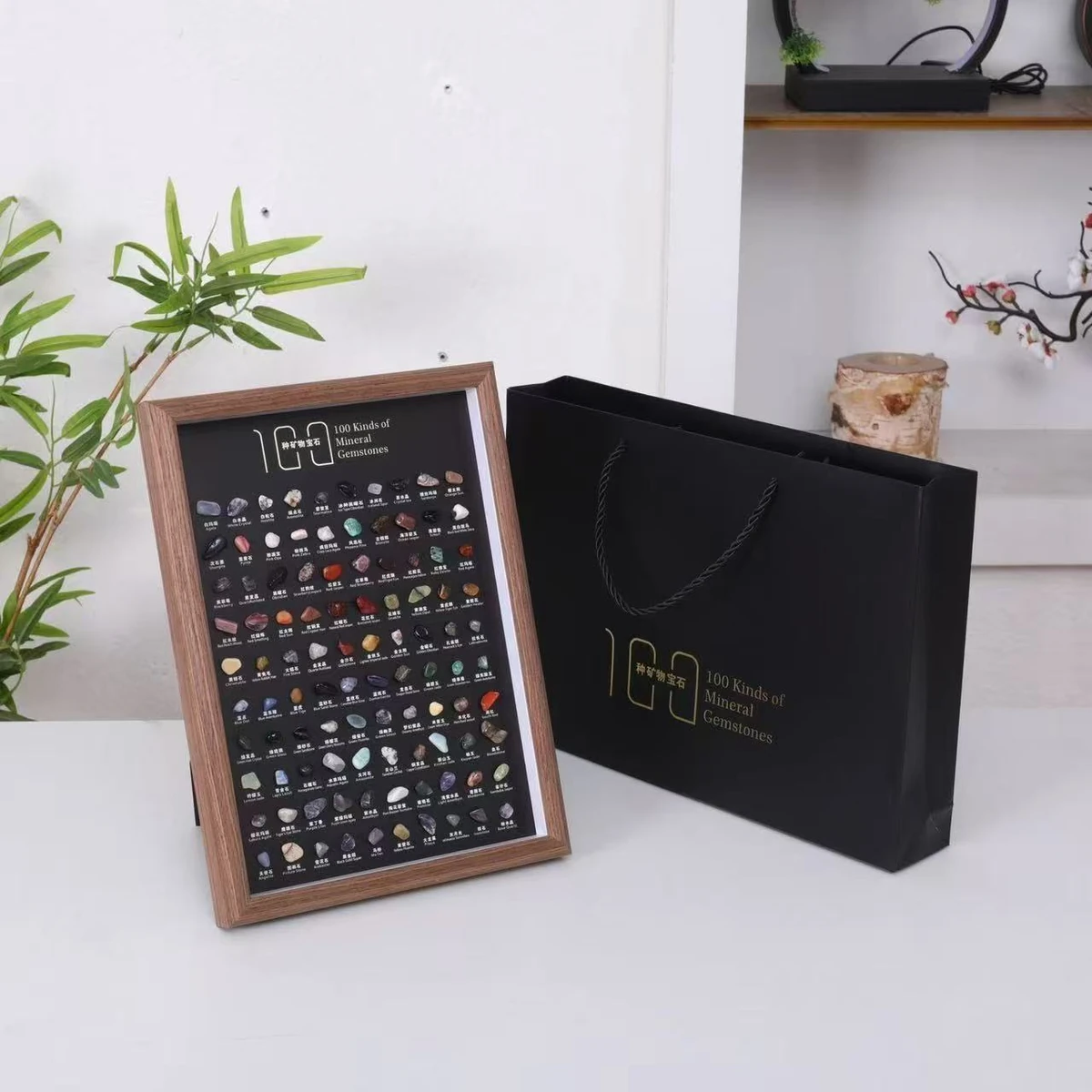 100-stone mineral specimen frame with gift presentation