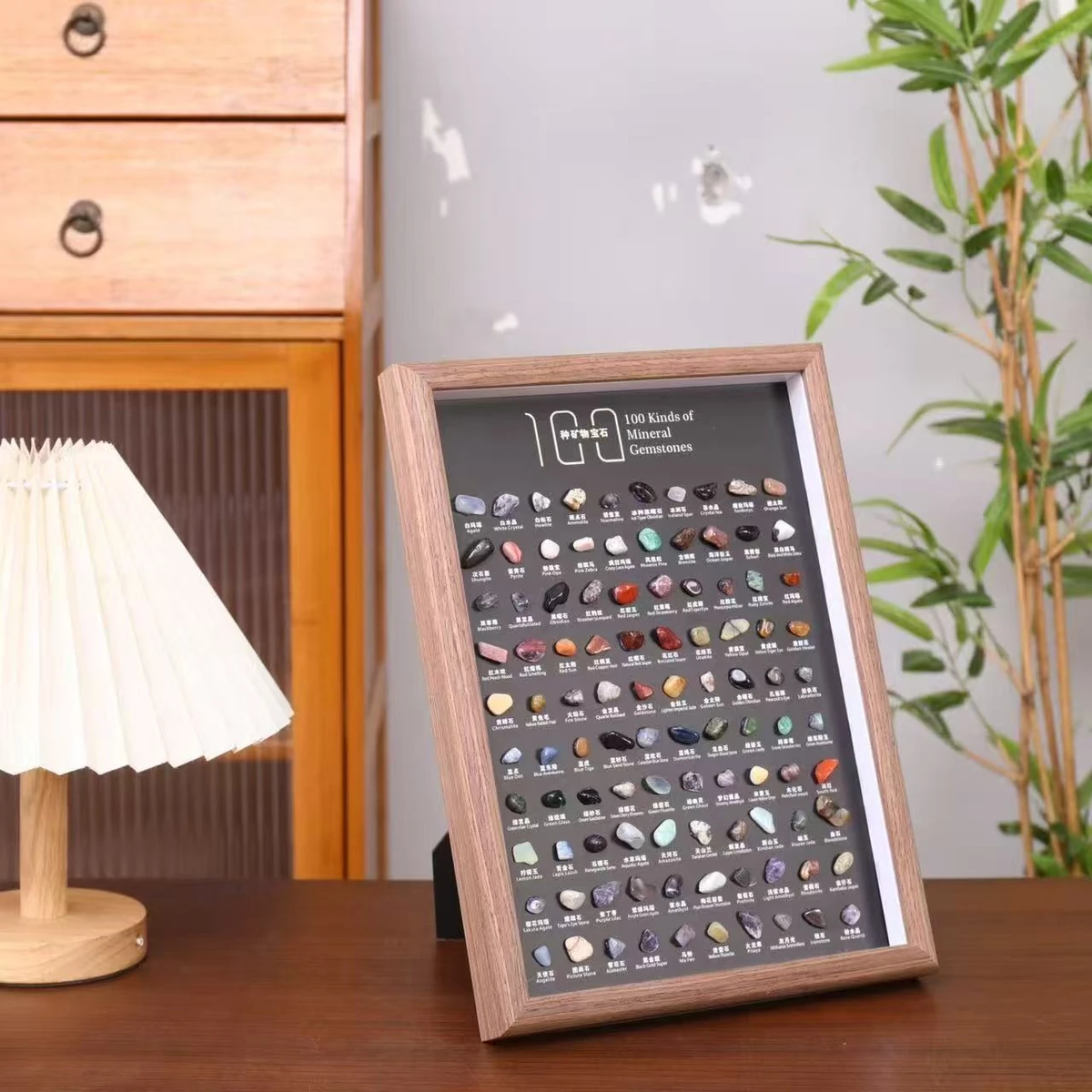 Walnut-tone frame displaying 100 labeled mineral specimens